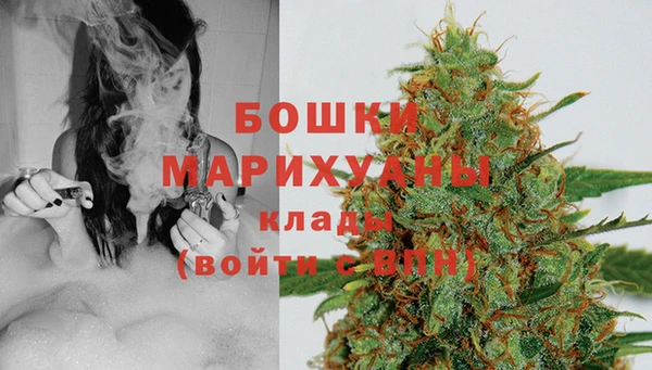шишки Костерёво