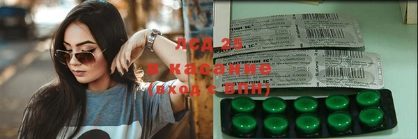 шишки Костерёво