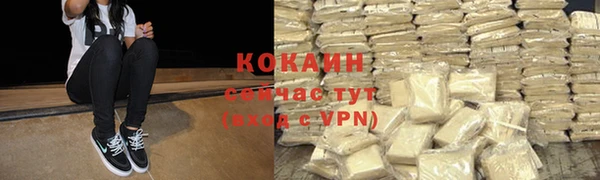 ПСИЛОЦИБИНОВЫЕ ГРИБЫ Коряжма