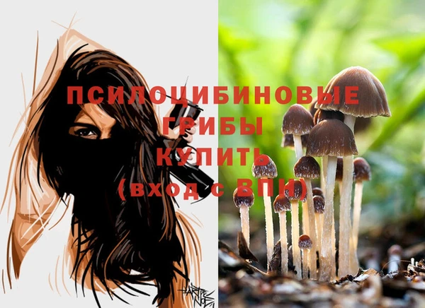 ПСИЛОЦИБИНОВЫЕ ГРИБЫ Коряжма