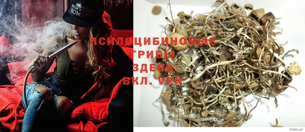 ПСИЛОЦИБИНОВЫЕ ГРИБЫ Коряжма
