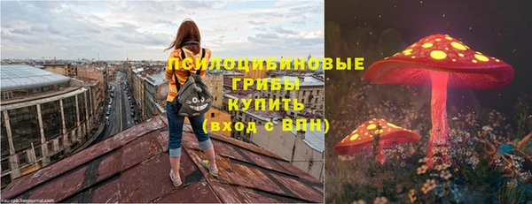 ПСИЛОЦИБИНОВЫЕ ГРИБЫ Коряжма