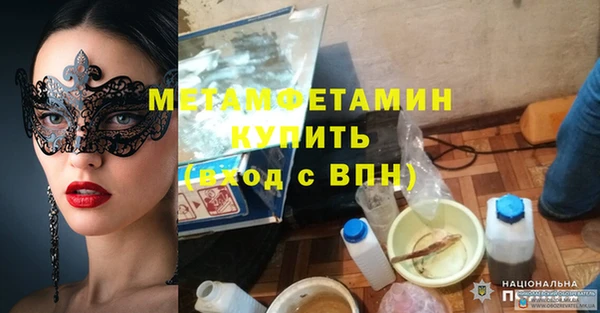шишки Костерёво
