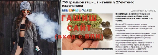 шишки Костерёво