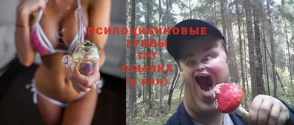 ПСИЛОЦИБИНОВЫЕ ГРИБЫ Коряжма